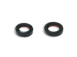 SERIE PARAOLIO IN FKM / PTFE PER ALBERO MOTORE PER SCOOTER PIAGGIO AUTOMATICI 2T 50CC MALOSSI PIAGGIO SFERA 50 2T