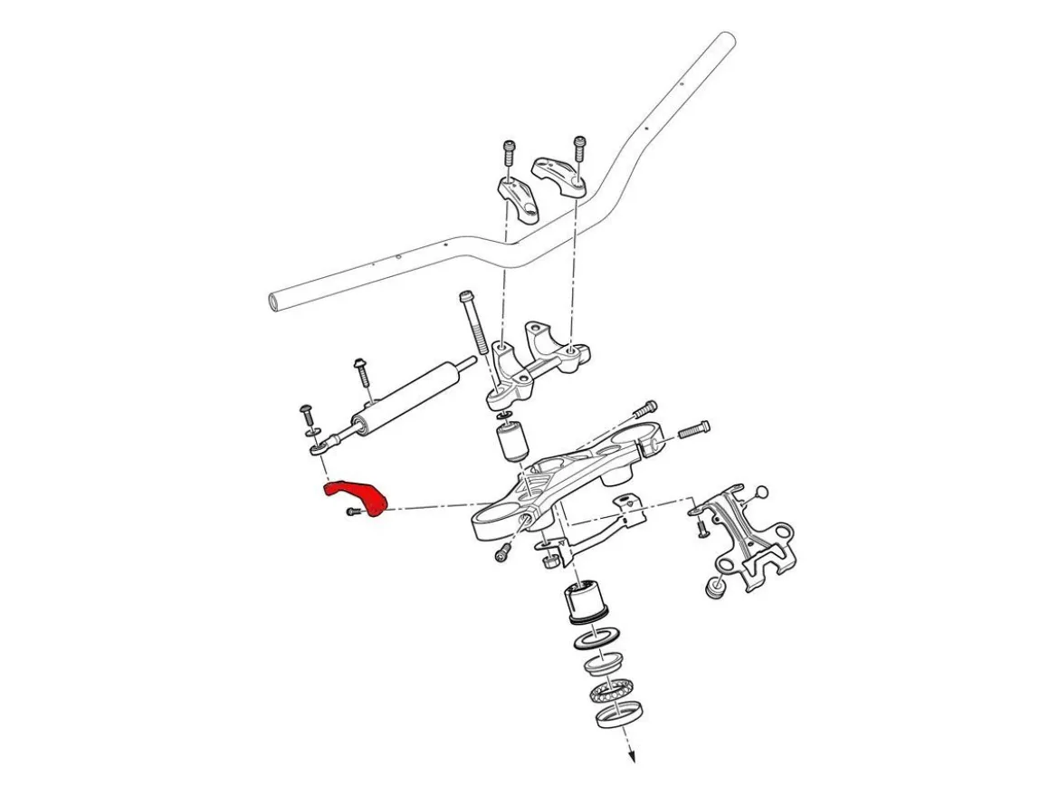 SUPPORTO AMMORTIZZATORE DI STERZO DUCATI STREETFIGHTER V4 2020-2024