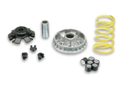 VARIATORE MULTIVAR 2000 MALOSSI WT MOTORS MIAMI 250 4T LC (172MM)