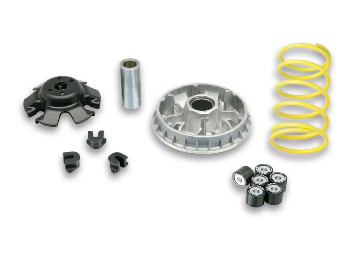 VARIATORE MULTIVAR 2000 MALOSSI WT MOTORS MIAMI 250 4T LC (172MM)