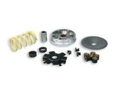 VARIATORE MULTIVAR PER CICLOMOTORI PIAGGIO MALOSSI ITALJET PACK 50 2T