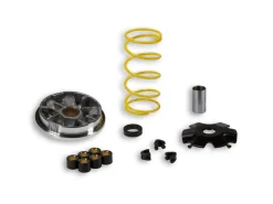 VARIATORE MULTIVAR PER SCOOTER MALOSSI ITALJET TORPEDO 50 2T